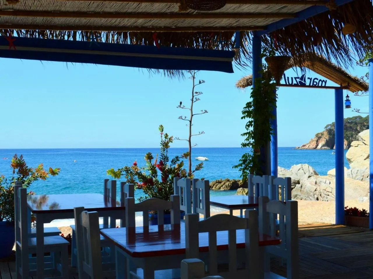 Studios Face A La Mer - Cala Llevado Tossa de Mar Spain